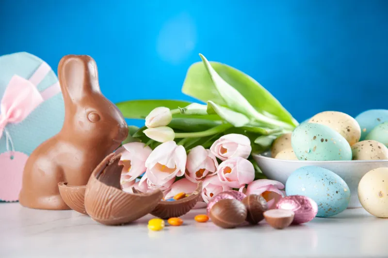 Chocolat en mars ou peluche en décembre : qui gagne vraiment la guerre des lapins festifs ?