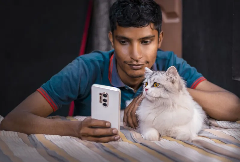 Pouces levés, oreilles dressées : comment les lapins sont devenus les vrais rois d'Internet