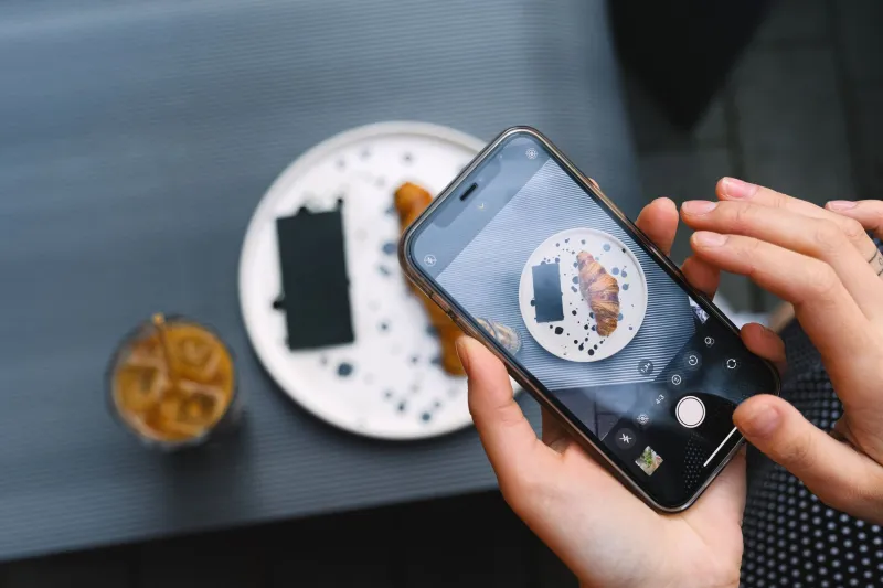 Poils, likes et billets verts : dans les coulisses des lapins stars d'Instagram français